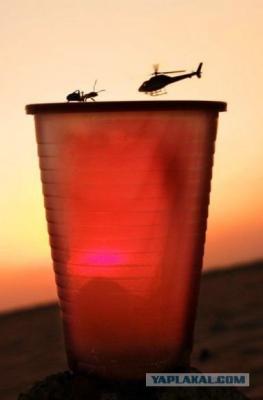 Прикрепленное изображение: post-3-12275231079554.jpg